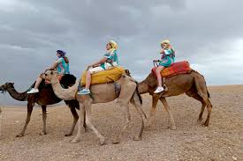 Sunset Camel Ride Experience in the Agafay Desert