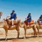 Поездка на верблюде в Марракеше